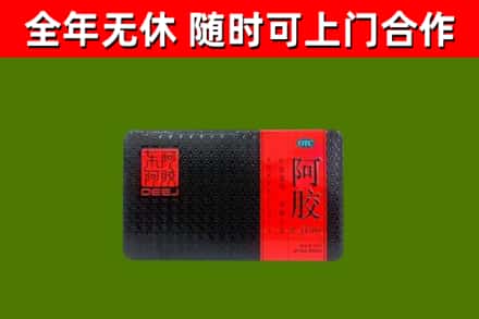 广州回收阿胶