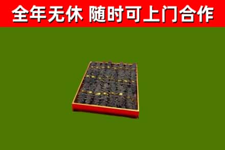 广州回收海参